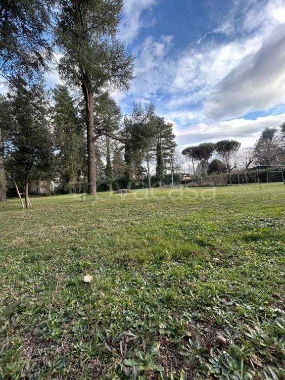 immagine annuncio 9 di 12