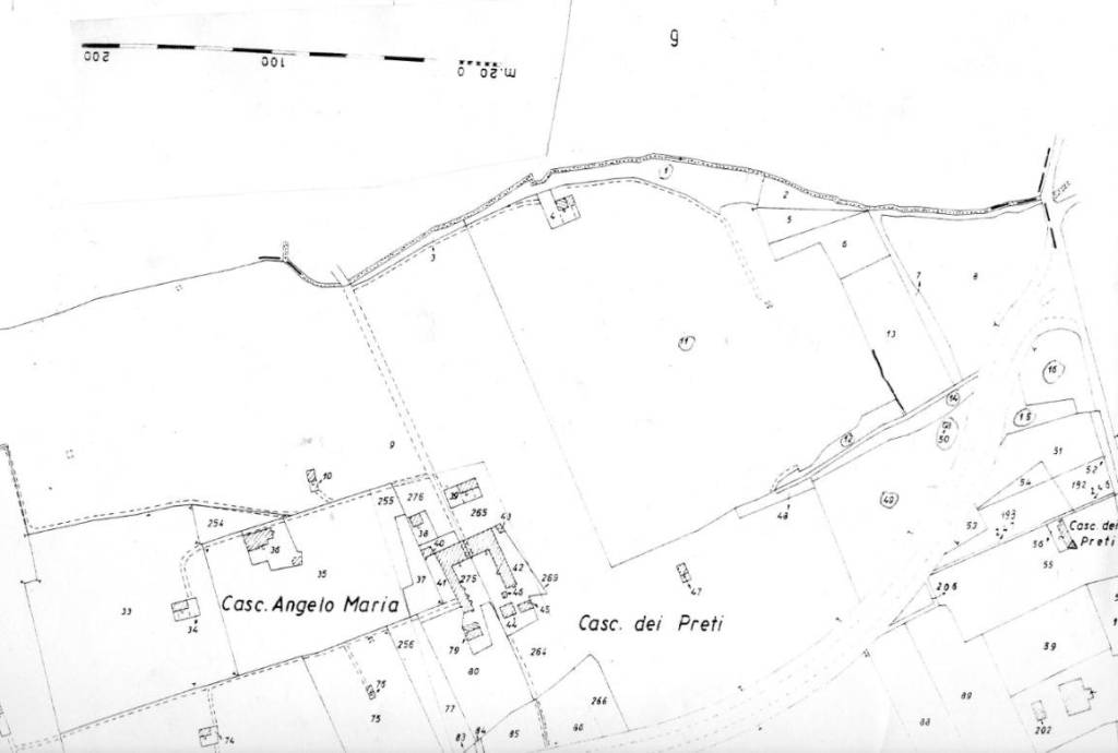 immagine annuncio 3 di 8