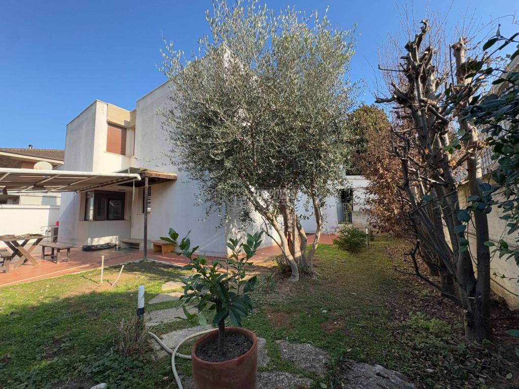 immagine annuncio 2 di 15