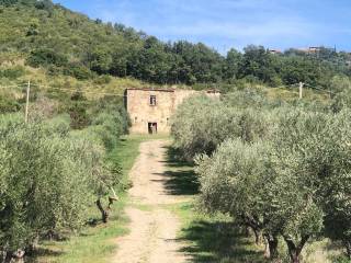 Terreno agricolo in vendita ad agropoli via frascinelle