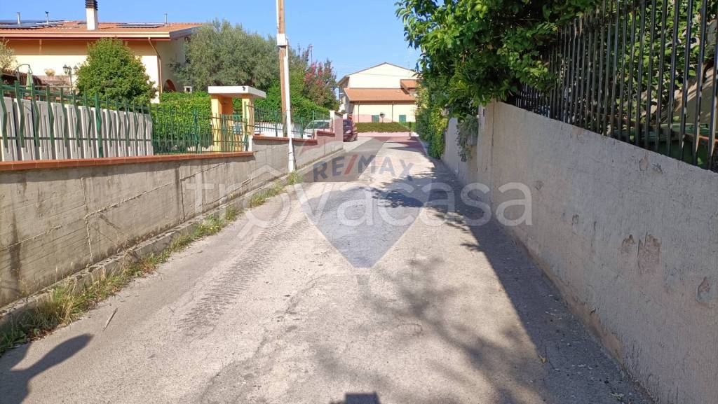 immagine annuncio 5 di 12