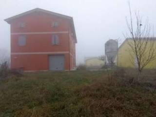 Azienda agricola all'asta a mirandola via cavo