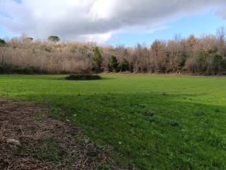 Terreno agricolo in vendita a teano via bosco, 14