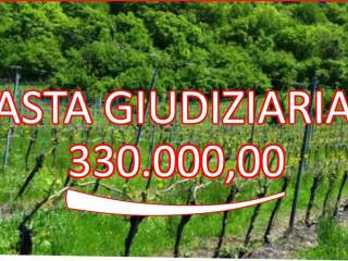 Terreno agricolo all'asta a cazzano di tramigna cazzano di tramigna,