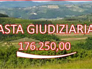 Terreno agricolo all'asta a tregnago via saline,