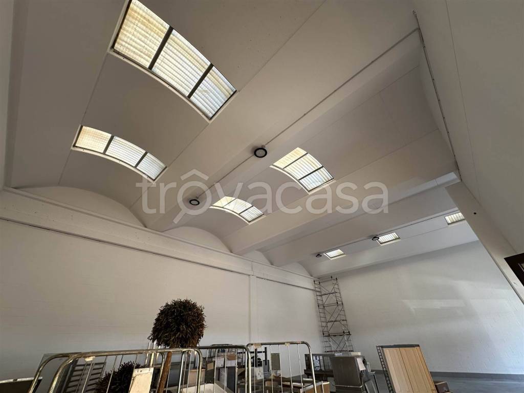 immagine annuncio 3 di 7