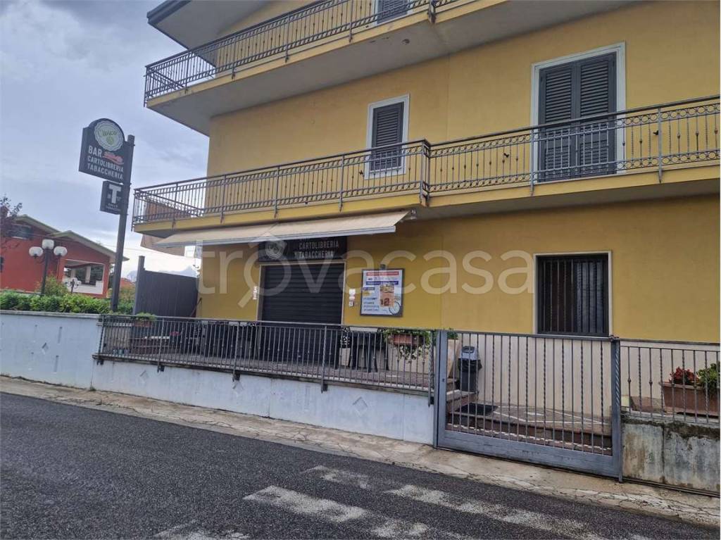 immagine annuncio 8 di 12