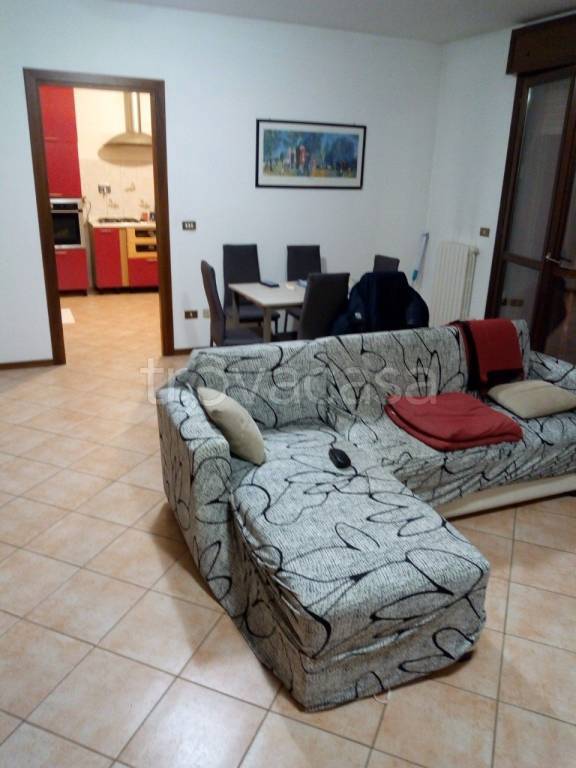 immagine annuncio 1 di 14
