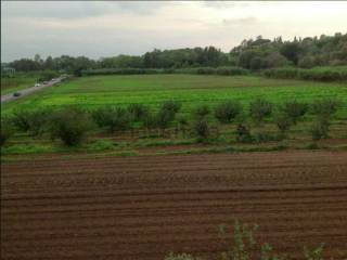 Terreno agricolo in vendita a fiumicino via del fontanile di mezzaluna