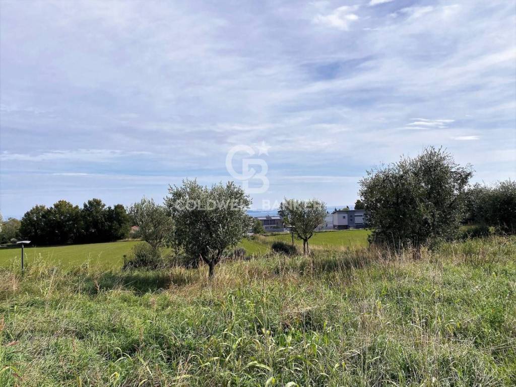immagine annuncio 2 di 7