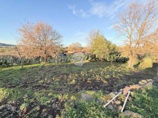 Terreno agricolo in vendita a nepi via passerella, 22