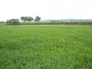 Terreno agricolo in vendita a villa carcina 