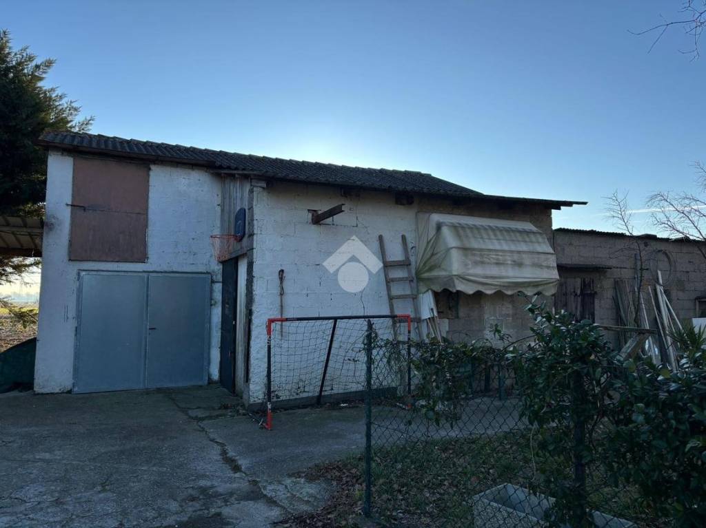 immagine annuncio 11 di 15
