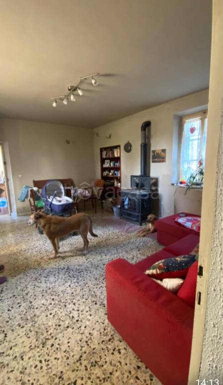 immagine annuncio 1 di 2