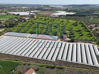 Terreno agricolo in vendita a ispica contrada santa maria focallo