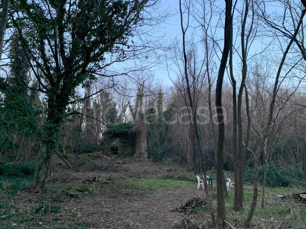immagine annuncio 9 di 12