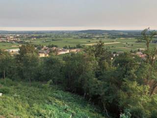 Terreno agricolo in vendita a cormons via sottomonte