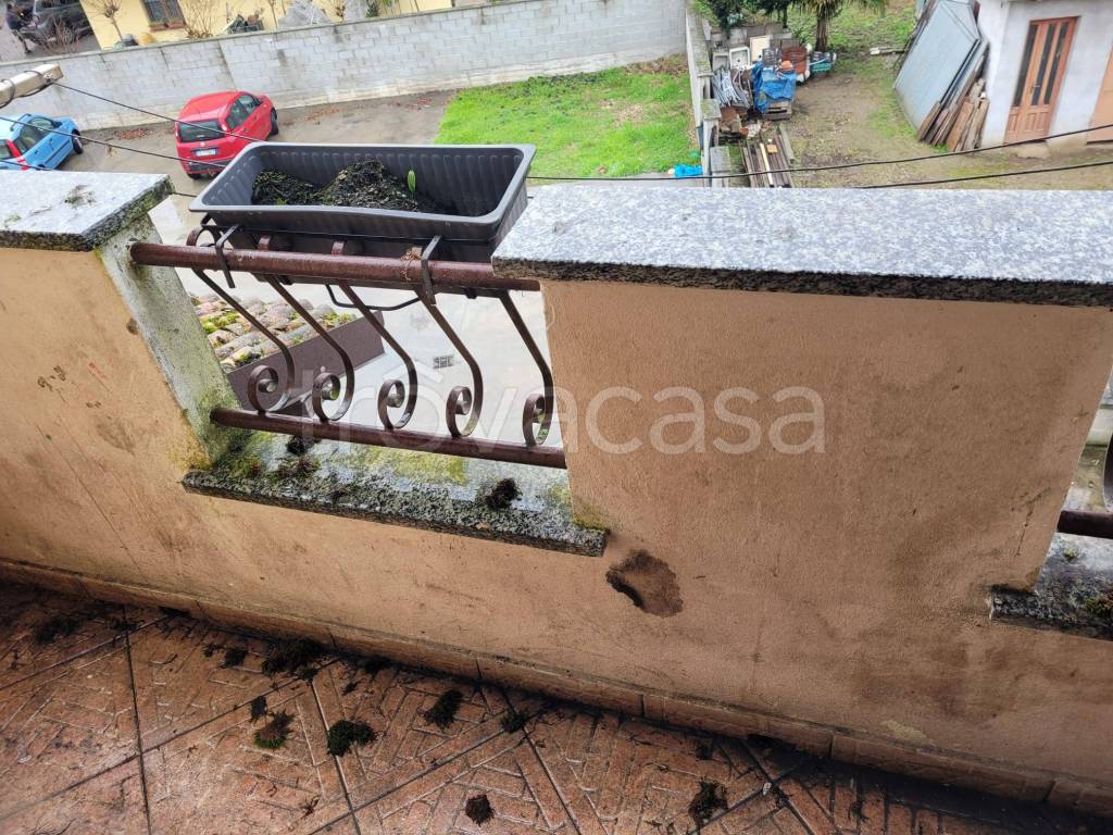 immagine annuncio 3 di 8