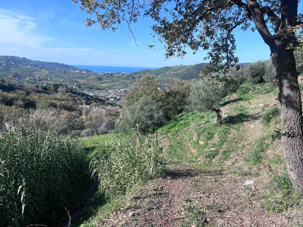 immagine annuncio 3 di 8