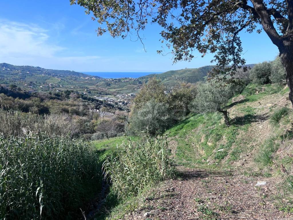 immagine annuncio 4 di 8