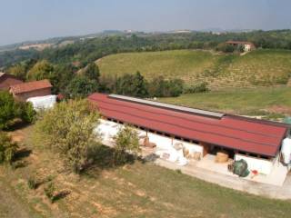 Azienda agricola in in vendita da privato a lu e cuccaro monferrato sp74