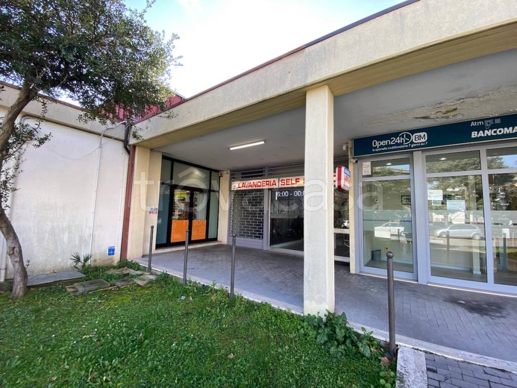 immagine annuncio 2 di 13