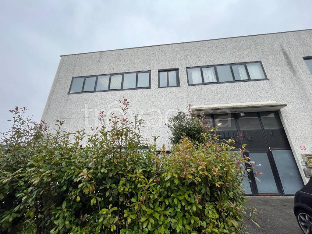 immagine annuncio 1 di 12