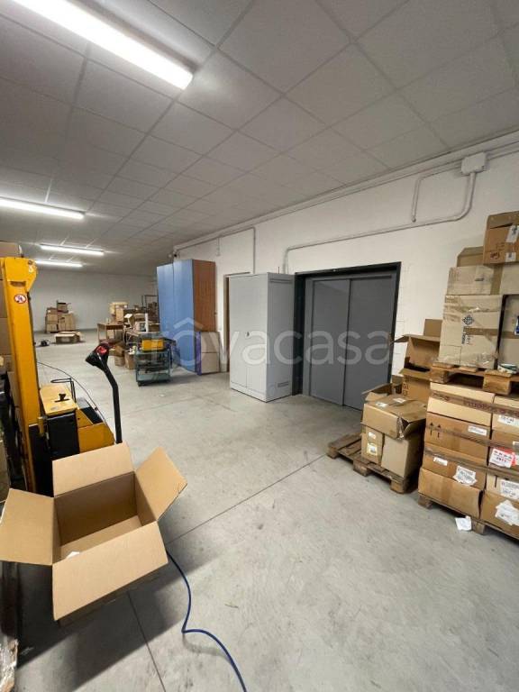 immagine annuncio 8 di 12