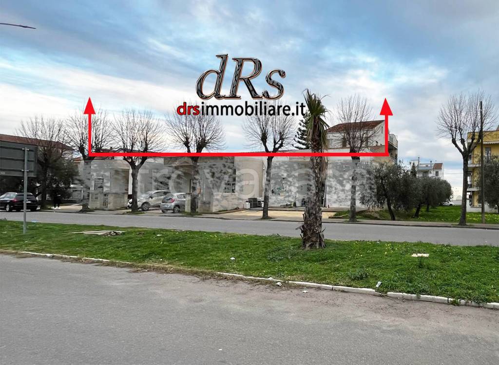 immagine annuncio 4 di 14