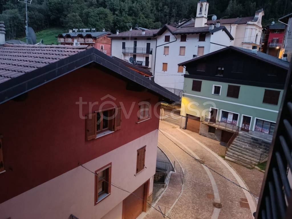 immagine annuncio 5 di 14