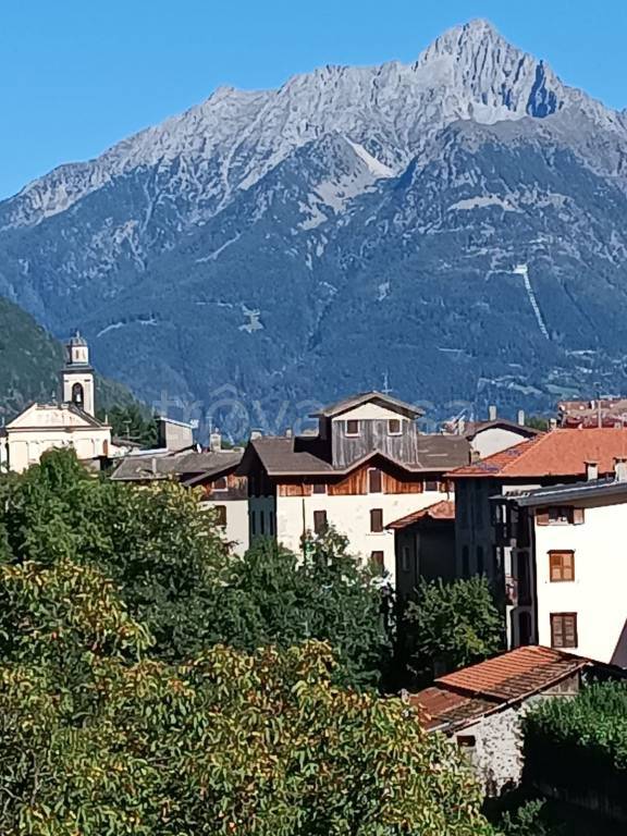 immagine annuncio 3 di 14