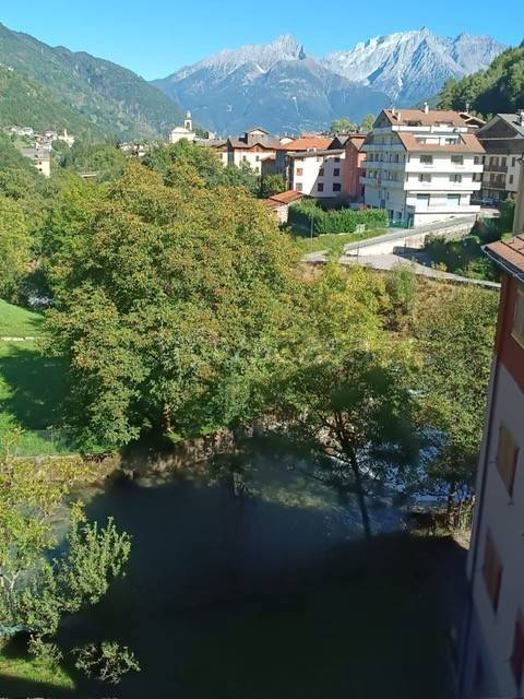 immagine annuncio 4 di 14