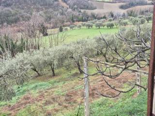 Terreno residenziale in vendita a teramo località villa pompetti