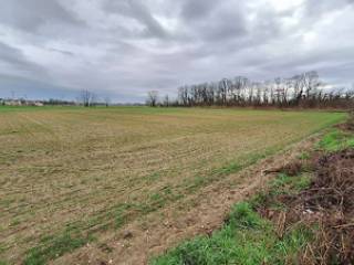 Terreno agricolo all'asta a zerbolò sp185