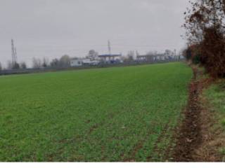 Terreno agricolo all'asta a bagnatica via casella