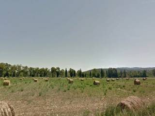 Terreno agricolo in vendita a campagnatico strada comunale lupaie