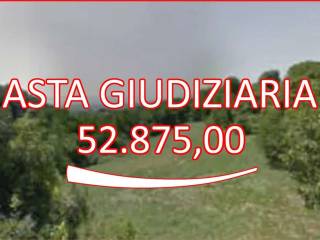 Terreno agricolo all'asta a fara vicentino via poletti,