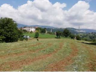 Terreno agricolo all'asta a fara vicentino via curzio poletti