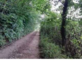 Terreno agricolo all'asta a salcedo via altura