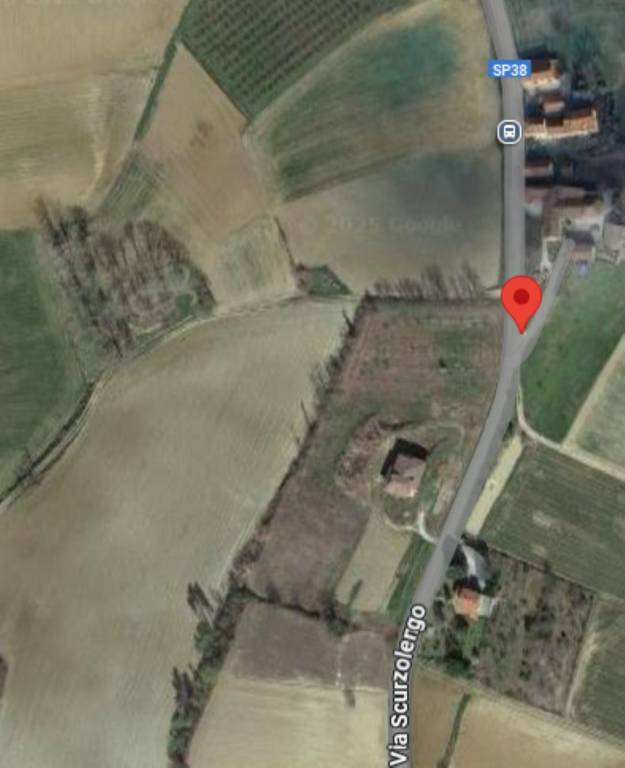 immagine annuncio 9 di 12