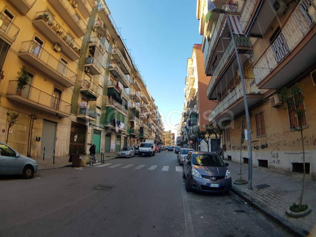 immagine annuncio 2 di 12