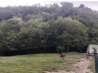 Terreno agricolo all'asta a nocera umbra vocabolo poggio parrano