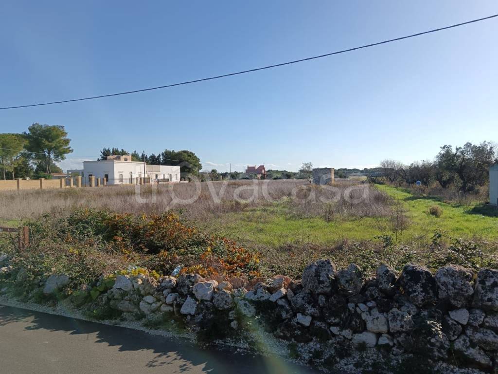 immagine annuncio 3 di 12