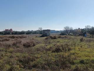 Terreno agricolo in vendita a nardò via san gregorio armeno