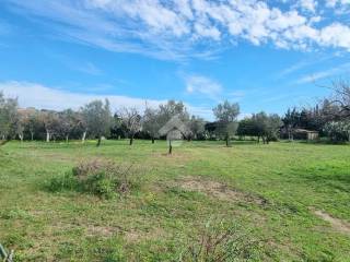 Terreno agricolo in vendita a borgia via palmiro togliatti