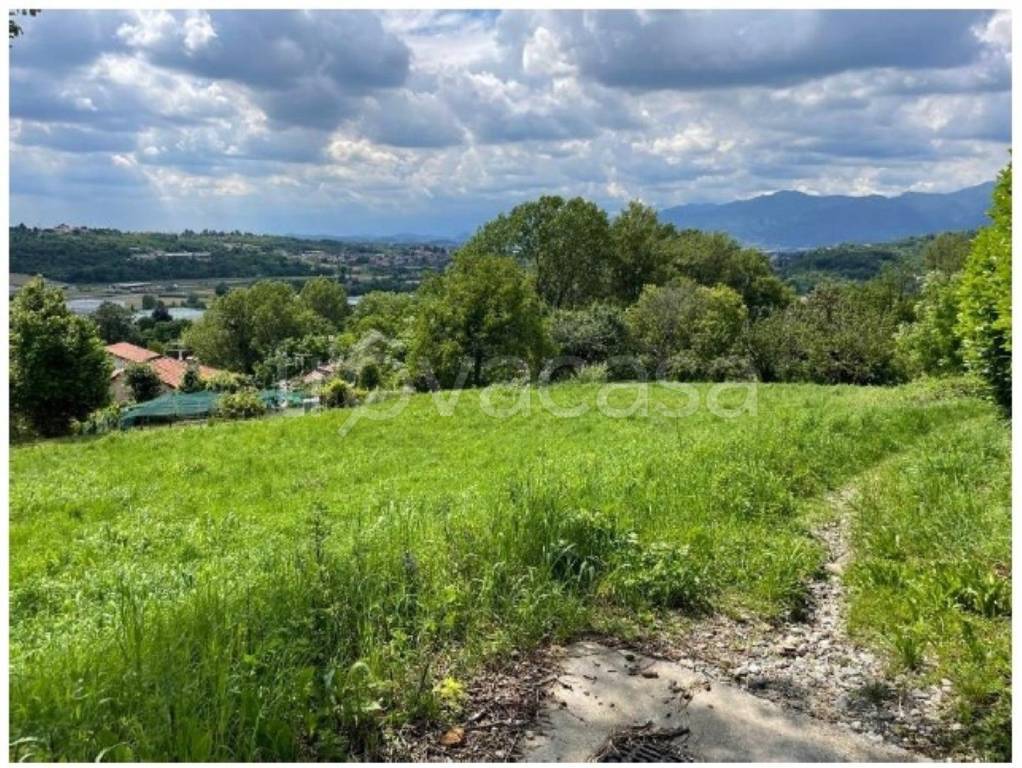 immagine annuncio 1 di 12