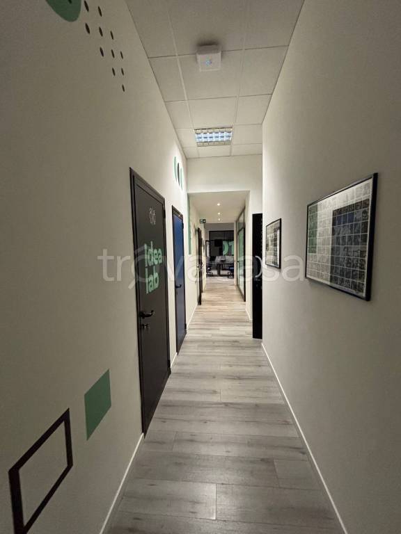immagine annuncio 6 di 14
