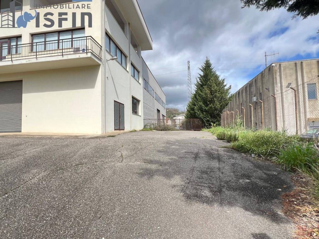 immagine annuncio 10 di 14