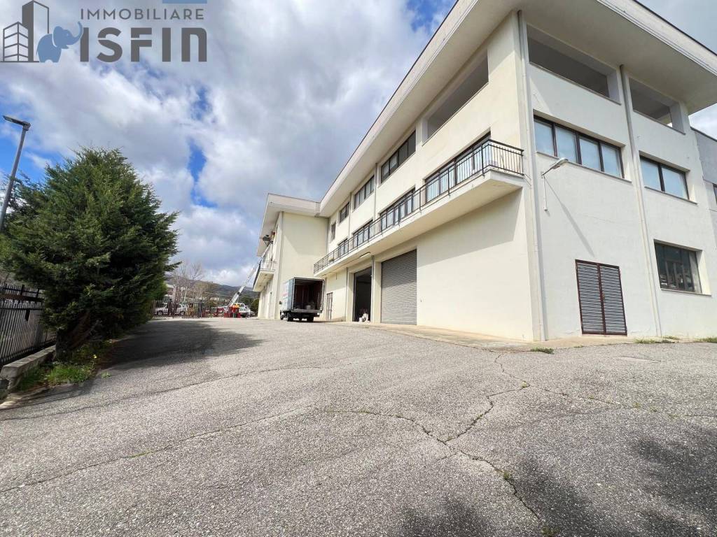 immagine annuncio 12 di 14