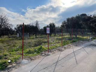 Terreno agricolo in vendita a capurso contrada della difesa, 63